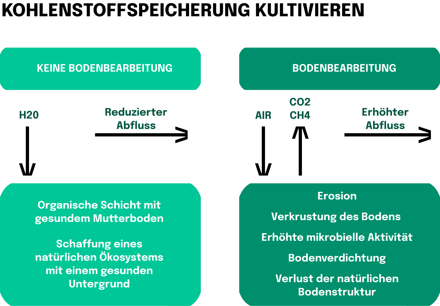 Kohlenstoffspeicherung kultivieren: Bodenkohlenstoffsequestrierung